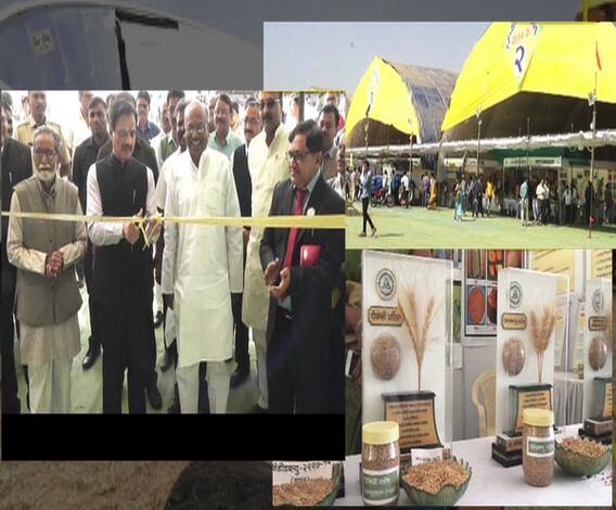 डॉ.पंजाबराव देशमुखांच्या 120 व्या जयंतीनिमित्त अॅग्रोटेक प्रदर्शन | 712 | अकोला | एबीपी माझा