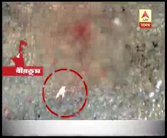 সিউড়ির দমদমা গ্রামে পিচ রাস্তায় রক্তের দাগ, পড়ে চুল ও দাঁত, আতঙ্কিত স্থানীয় লোকজন