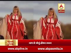 રોચક દુનિયા: ઓસ્ટ્રેલિયાની મહિલાનું સાહસ, વિંગસૂટ પહેરી એન્ટાર્કટિકામાં આકાશી કૂદકો, જુઓ વીડિયો 