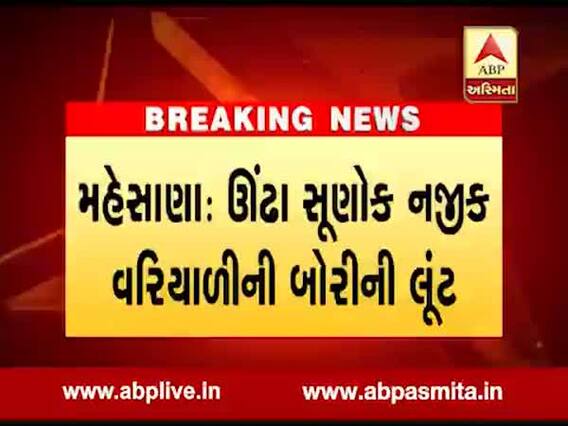 મહેસાણાઃ ગોડાઉનમા સિક્યૂરિટીને માર મારી વરિયાળીની બોરીની લૂંટ કરાઇ, જુઓ વીડિયો 