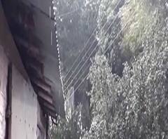 নদিয়াতেও নাছোড় বৃষ্টি, শীত পড়েছে কাঁপিয়ে