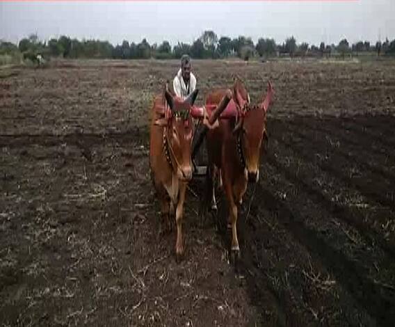 अशी घ्या पिकांची काळजी...| 712 | एबीपी माझा