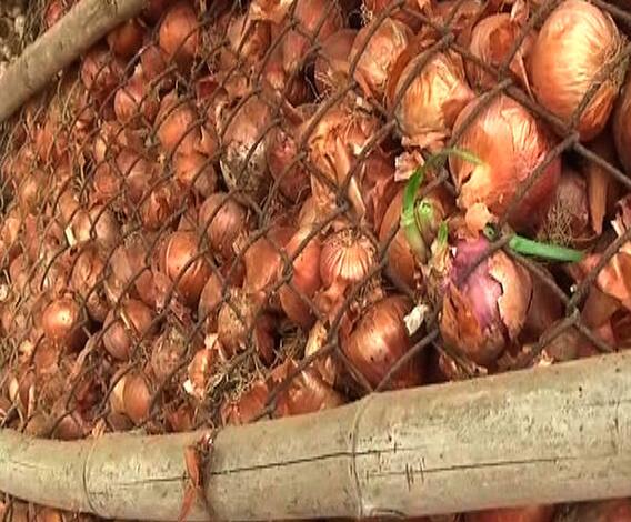 आवक वाढल्यानं कांद्याच्या दरात घसरण | 712 | एबीपी माझा