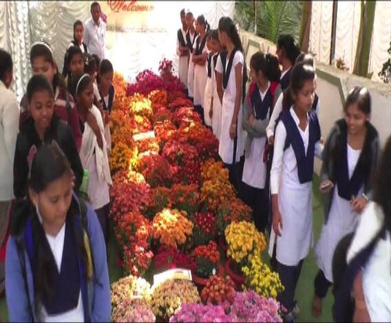 अमरावती शहरात शेवंती पुष्प प्रदर्शनाचे आयोजन | एबीपी माझा