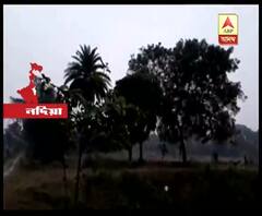 নদিয়াতে গতরাত থেকেই চলছে হালকা বৃষ্টি