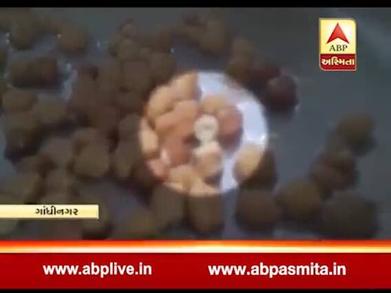 ગાંધીનગર: મધ્યાહન ભોજનમાં સડેલા અને અખાદ્ય કઠોળ આપતા હોવાની ફરિયાદ, જુઓ વીડિયો