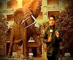 বলিউডের অন্যতম প্রিয় জায়গা এটি, সলমন ও অক্ষয় মিলে গোটা ৫০ সিনেমার শ্যুটিং করেছেন এখানে, আফ্রিকার রাজপ্রাসাদ, সনাতন আফ্রিকায় ঠিক কীভাবে রাজপ্রাসাদ সাজানো হত আফ্রিকার ঐতিহ্য মেনে, ঘুরে দেখুন এবিপি আনন্দের সঙ্গে, দেখুন চলো লেটস গো