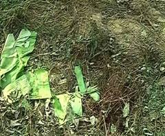 সোনারপুরে ব্যক্তির গলাকাটা দেহ উদ্ধার