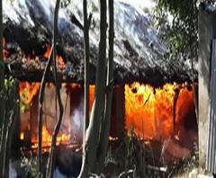 বীরভূমের সদাইপুরে পোলট্রি ফার্মে আগুন, পুড়ে ছাই প্রচুর মুরগি সহ গোটা ফার্ম