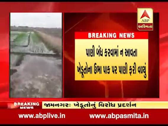 મોરબીઃ વેગડવાવમાં કેનાલ ઉભરાતા પાણી આજુબાજુના ખેતરોના ઉભા પાકમાં ફરી વળ્યુ, જુઓ વીડિયો