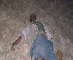 পশ্চিম মেদিনীপুরের শালবনির ভীমপুরে দাঁতালের আক্রমণে এক ব্যক্তির মৃত্যু