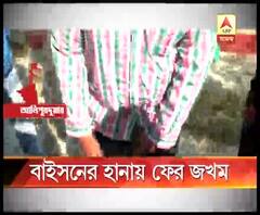 আলিপুরদুয়ারে ফের বাইসনের তাণ্ডব, জখম ৩ গ্রামবাসী, আতঙ্কে ঘুম উড়েছে স্থানীয়দের