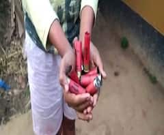 চন্দ্রকোণার পানিছড়া গ্রামে যুবকের সাহসিকতায় বড়সড় ক্ষতির হাত থেকে রক্ষা, ডাকাতির মাঝপথে চম্পট দুষ্কৃতীদের