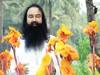 17 साल बाद इंसाफ: राम रहीम को मिली उम्रकैद की सजा, मरते दम तक जेल में रहेगा