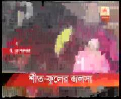 দত্তপুকুরে চলছে শীতের মরসুমি ফুলের প্রদর্শনী