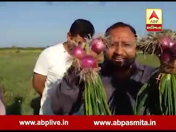 ગીર સોમનાથ: સતત ગગડતા ડૂંગળીના ભાવના કારણે ખેડૂતોએ ઊભા પાક પશુઓને ચરાવી દીધો, જુઓ વીડિઓ 