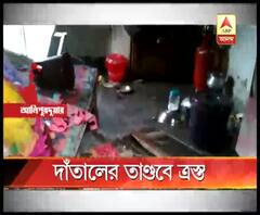 আলিপুরদুয়ারের সূর্য সেন কলোনিতে দাঁতালের তাণ্ডব, গভীর রাতে বক্সার জঙ্গল থেকে বেরিয়ে একের পর এক বাড়িতে হানা