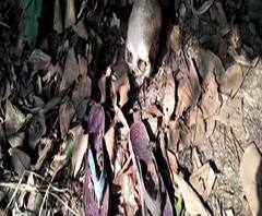 বীরভূমের সিউড়িতে জাতীয় সড়কের ধারে উদ্ধার কঙ্কাল, মহিলার, অনুমান পুলিশের