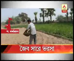 পশ্চিম বর্ধমানের কাঁকসায় রাসায়নিক সার থেকে মুখ ফিরিয়ে এখন জৈব সারের উপর ভরসা করছেন কৃষকরা