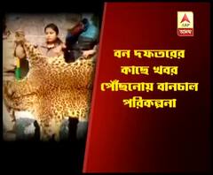 চিতাবাঘ মেরে, মাংস খেয়ে চামড়া পাচারের চেষ্টা, ক্রেতা সেজে টোপ দিয়ে বন দফতরের কর্তারা পাকড়াও করলেন ৫ জনকে