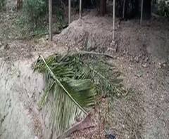 বাসন্তী থানার ঢুরি বাজারে পারিবারিক জমিতে গাছ কাটাকে কেন্দ্র করে বচসা, দুই মহিলাকে মারধরের অভিযোগ আত্মীয়ের বিরুদ্ধে