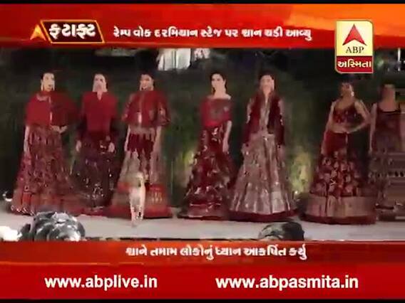 ફેશન શૉ ચાલી રહ્યો હતો ને સ્ટેજ પર અચાનક ચઢી આવ્યુ કુતરુ, પછી શુ થયુ, જુઓ વીડિયો