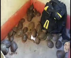 বর্ধমান স্টেশনে উদ্ধার কচ্ছপ, লোকাল ট্রেনের ভেন্ডার কামরার একটি ব্যাগ থেকে উদ্ধার কচ্ছপটি