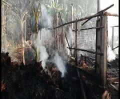 পূর্ব মেদিনীপুরের পটাশপুর থানার বুড়ন গ্রামে পোলট্রি ফার্মে আগুন, ঝলসে গিয়ে মৃত্যু প্রায় সাড়ে ৩ হাজার মুরগি ছানার