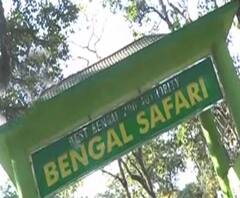 শিলিগুড়ির সাফারি পার্কে খাঁচা থেকে বেরিয়ে গেল চিতাবাঘ