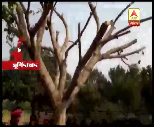 ABP News ABP News