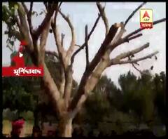 গাছ ঘিরে ভক্তদের ভিড়, কাঁঠাল গাছের শিকড় থেকে জল পড়তে দেখে চক্ষু চড়কগাছ! 