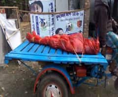 দক্ষিণ ২৪ পরগনার মন্দিরবাজারে ভাইপোকে কুপিয়ে টাকা ছিনিয়ে নেওয়ার অভিযোগ, পাল্টা গণপিটুনিতে মৃত্যু কাকার