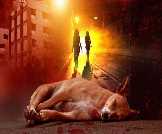 এনআরএসে ১৬টি কুকুরছানা পিটিয়ে মারার ঘটনায় গ্রেফতার ২ অভিযুক্ত, পরে জামিন, বহিষ্কারের নির্দেশ মেনকা গাঁধীর