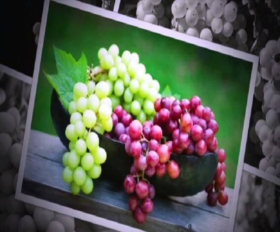 VIDEO | द्राक्षाचे औषधी गुणधर्म कोणते? | घे भरारी | आरोग्य | एबीपी माझा