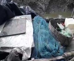 সুন্দরবনে কাঁকড়া ধরতে গিয়ে বাঘের আক্রমণ, নিখোঁজ মত্স্যজীবী, এলাকায় তল্লাশি শুরু করেছে বন দফতর