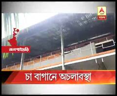 জলপাইগুড়ির আমবাড়ি শিল্পতালুকের চা বাগানে অচলাবস্থা অব্যাহত