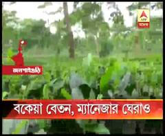 মাইনে নেই ৩ মাস, বকেয়া বেতনের দাবিতে চা বাগানের ম্যানেজারকে ঘেরাও শ্রমিকদের