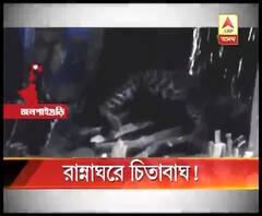 উনুনের পাশে দিব্যি ঘুমিয়ে আস্ত চিতাবাঘ!
