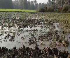 পশ্চিম মেদিনীপুরের বেলদায় তৃণমূলের গোষ্ঠীদ্বন্দ্ব, দলীয় কর্মীর পরিবারকে একঘরে করে রাখার অভিযোগ