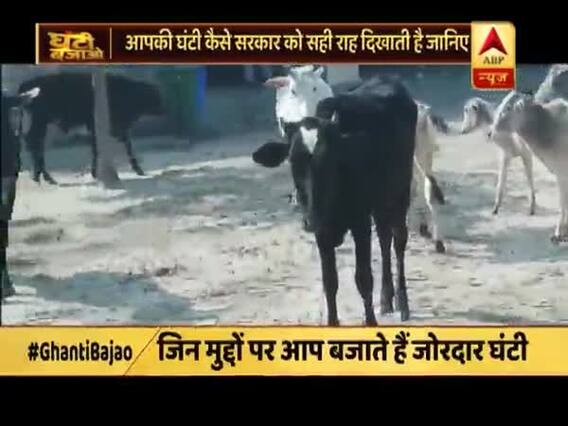 गोवंश पर घंटी बजाओ की रिपोर्ट का सरकार ने भी दिया ध्यान, बजट में किया जरूरी एलान