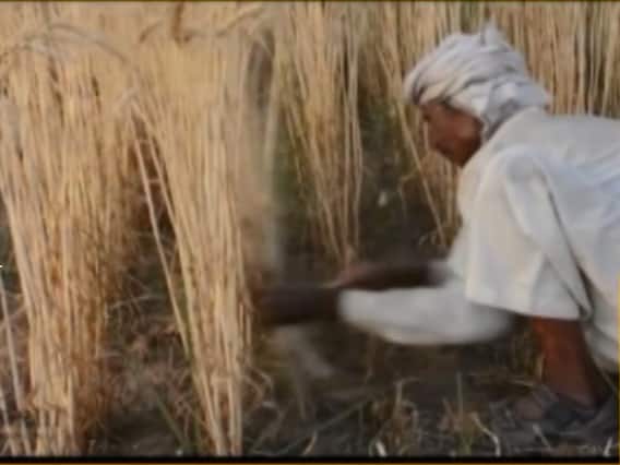 Budget 2019: Big announcement likely for farmers in this interim budget 