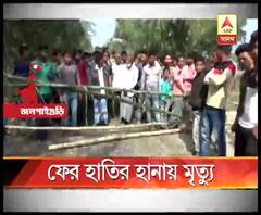 জলপাইগুড়ির রাজগঞ্জে দাঁতালের হানায় ব্যক্তির মৃত্যু ঘিরে উত্তেজনা