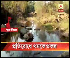 গাছ কাটায় নিষেধাজ্ঞা কলকাতা হাইকোর্টের, থমকে অযোধ্যা পাহাড়ের টুড়গা জলপ্রপাতের ওপর জল বিদ্যুৎ প্রকল্প তৈরির কাজ