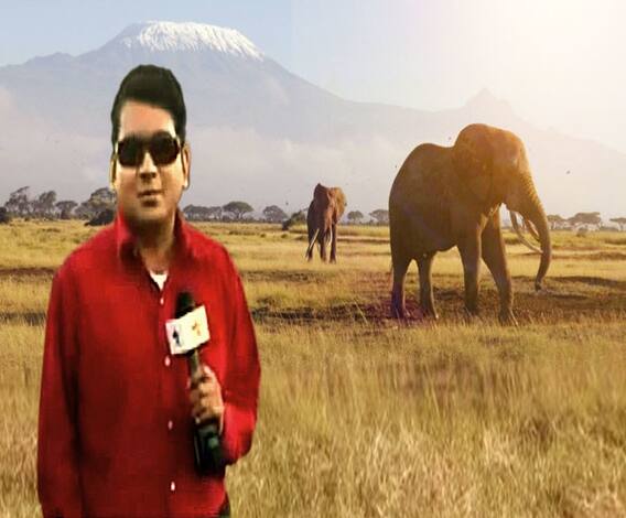 ‘বিগ ফাইভ’-এর খোঁজ এখনও জারি, কয়েক হাত দূরেই ইমপালা, সতর্কতা জারি থাকা সত্ত্বেও বিখ্যাত আফ্রিকান হাতিদের খুব কাছে এবিপি আনন্দ, দেখুন সেই রোমাঞ্চকর অভিজ্ঞতা। চলো লেটস গো