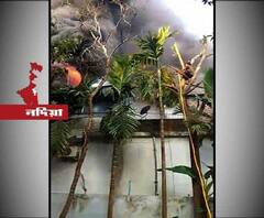 নদিয়ার চাকদা থানার উত্তর পাঁচপোতা গ্রামে প্লাস্টিক কারখানায় ভয়াবহ আগুন