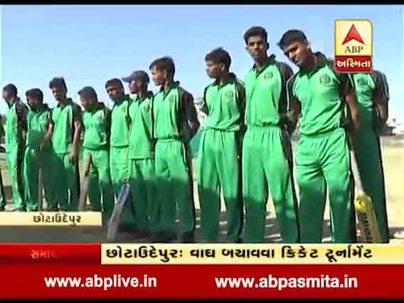 છોટાઉદેપુર: વાઘ બચાવો ઝુંબેશ લઇને ક્રિકેટ ટૂર્નામેન્ટનું કરાયું આયોજન, જુઓ વીડિયો 