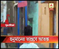 পুরুলিয়ার কেনাইডি-সহ কয়েকটি গ্রামে হনুমানের তাণ্ডব, জখম এক শিশু-সহ ন’জন গ্রামবাসী