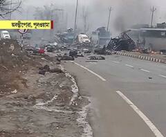 পুলওয়ামাকাণ্ডের পর পাকিস্তানকে ৩টি নদীর জলের অংশ না দেওয়ার সিদ্ধান্ত নিয়েছে ভারত, পাকিস্তানের দাবি, এতে অসুবিধে হবে না তাদের