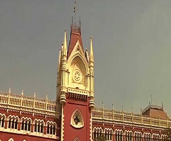 ২৯ সপ্তাহের অন্তঃসত্ত্বাকে গর্ভপাতের অনুমতি কলকাতা হাইকোর্টের ডিভিশন বেঞ্চের, বিচারপতিদের পর্যবেক্ষণ, সংবিধানে মা-সন্তানের মর্যাদার সঙ্গে বেঁচে থাকার অধিকার রয়েছে