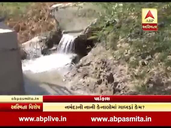 અસ્મિતા વિશેષઃ પર્દાફાશ